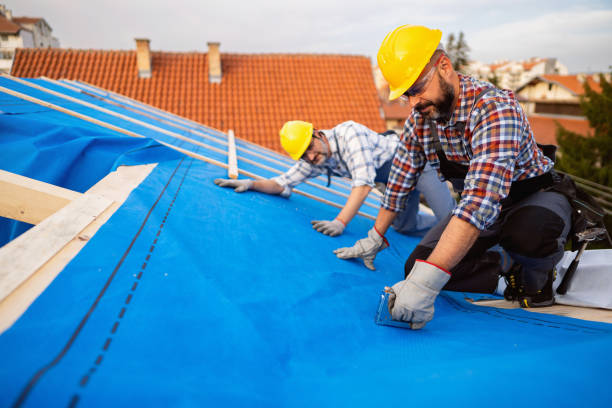 Best Roof Gutter Cleaning  in Lake Magdalene, FL